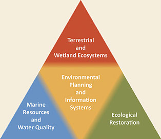 Capabilities Triangle