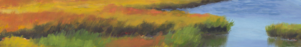 CC banner