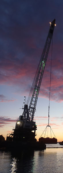 crane