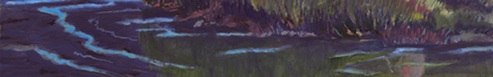 Sediment banner